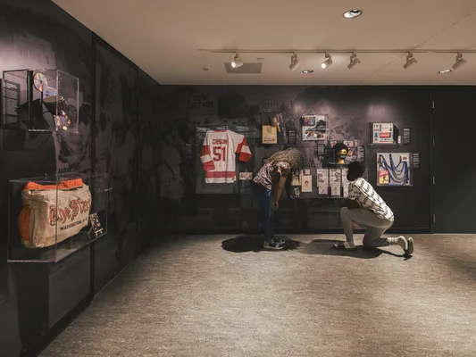 MLK library selectsV2 0585 1200